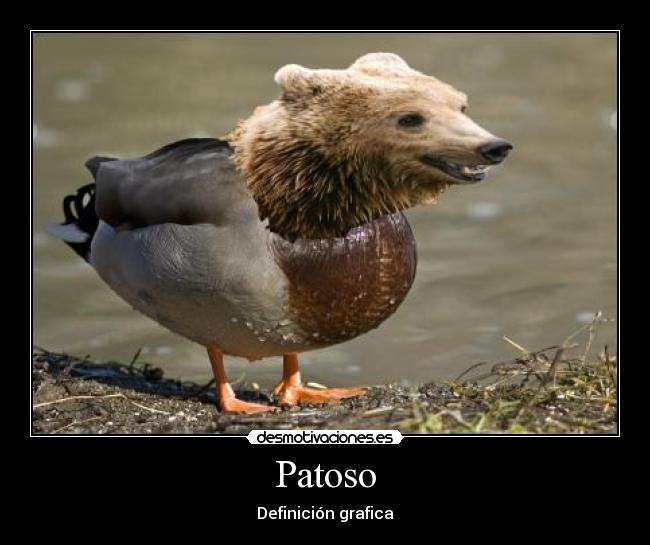 Patoso -