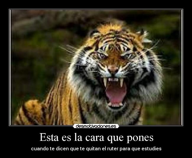 carteles cara enfadado internet estudiar desmotivaciones