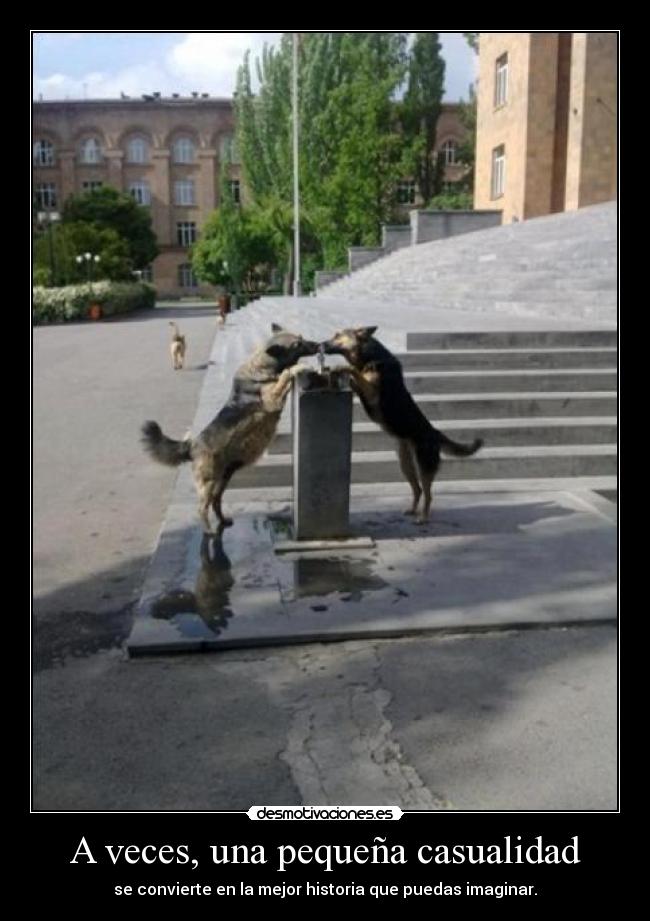 A veces, una pequeña casualidad - se convierte en la mejor historia que puedas imaginar.