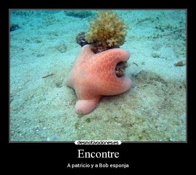 Encontre - 