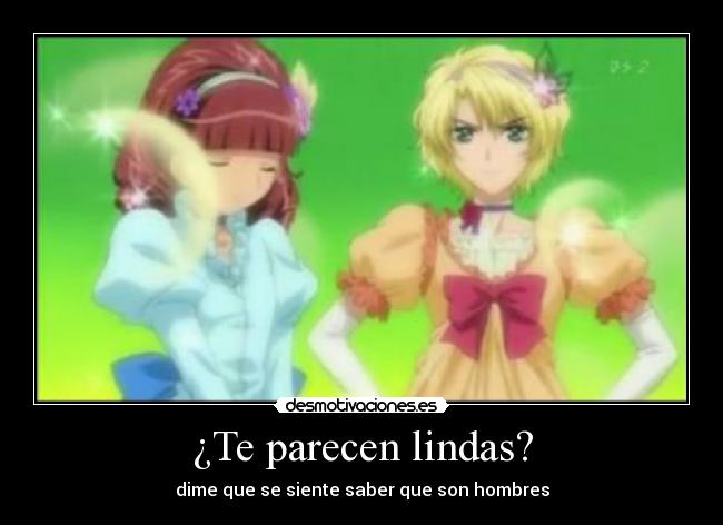 ¿Te parecen lindas? - 