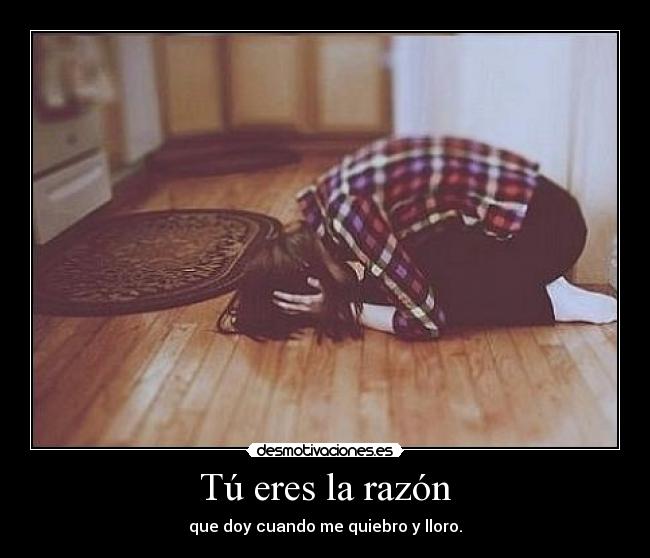 carteles shy desmotivaciones