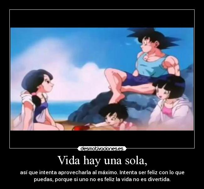 Vida hay una sola, - 