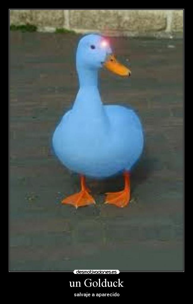 carteles anime shinigamisempai golduck pokemon videojuegos patos desmotivaciones