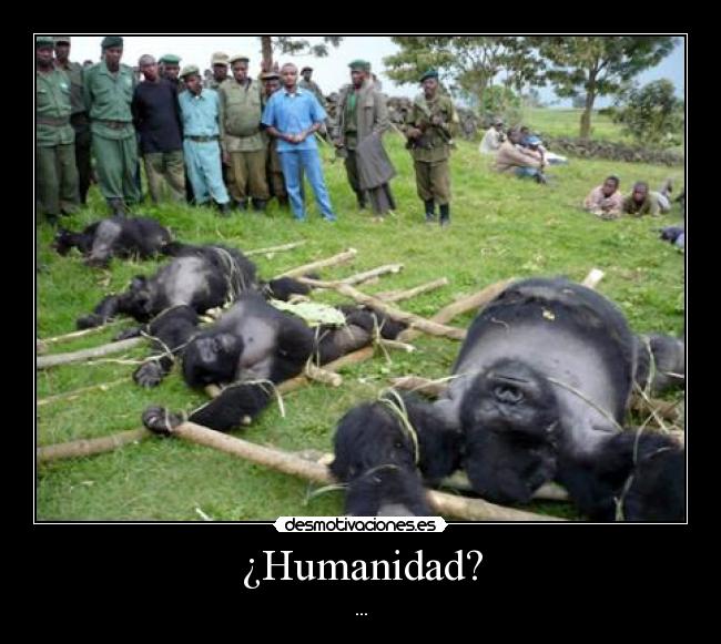 ¿Humanidad? - ...