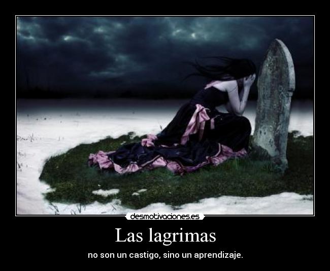 Las lagrimas - no son un castigo, sino un aprendizaje.
