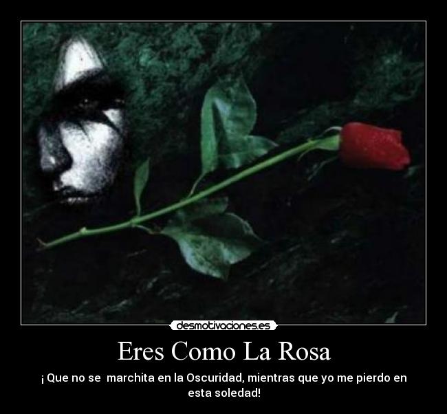 Eres Como La Rosa - 