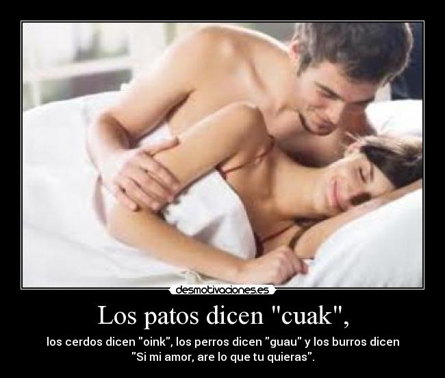 Los patos dicen cuak, - los cerdos dicen oink, los perros dicen guau y los burros dicen
Si mi amor, are lo que tu quieras.