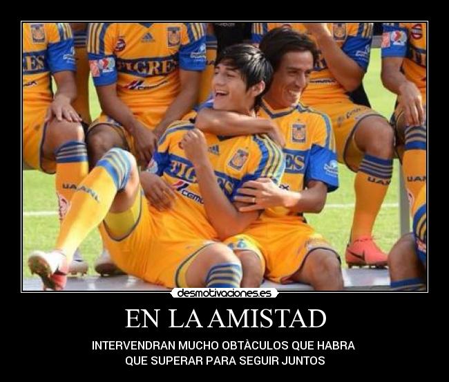 carteles amistad los mejores amigos desmotivaciones