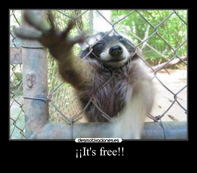 ¡¡Its free!! -