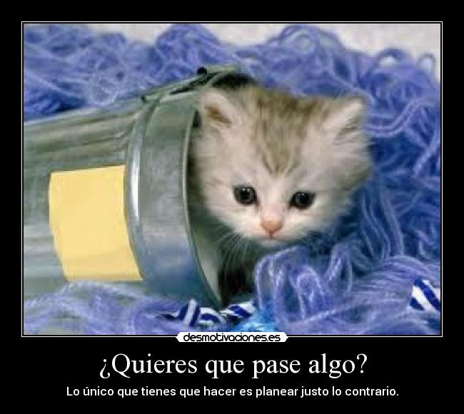 ¿Quieres que pase algo? -