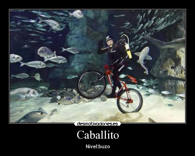 Caballito - 