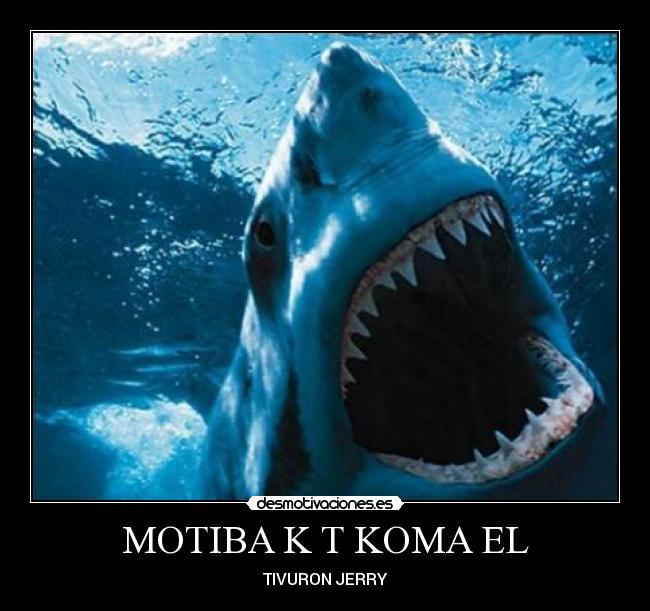 MOTIBA K T KOMA EL - TIVURON JERRY