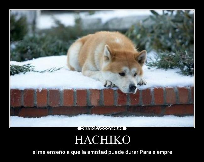 HACHIKO - el me enseño a que la amistad puede durar Para siempre