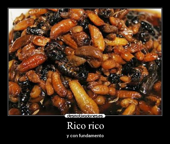 Rico rico - 
