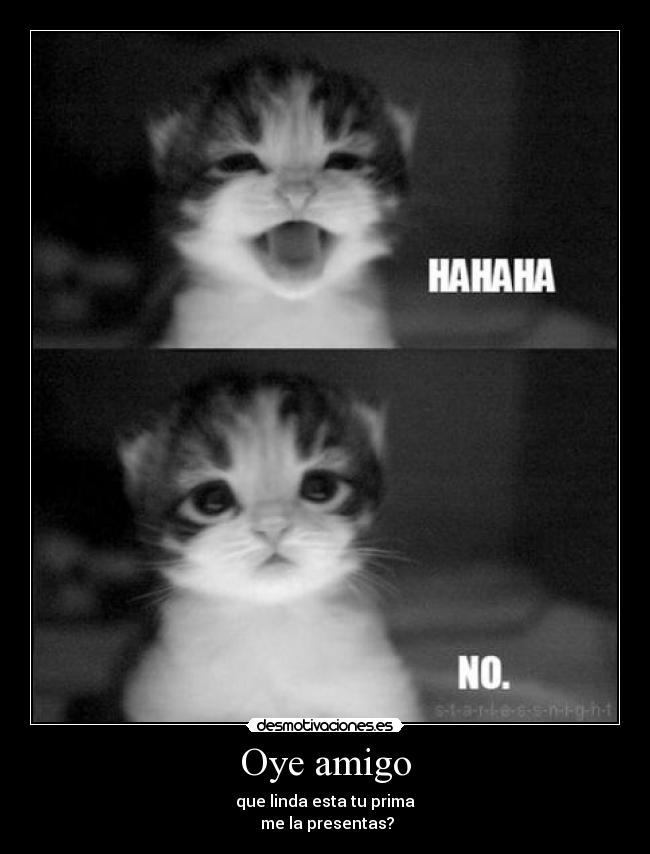 Oye amigo - que linda esta tu prima
 me la presentas?