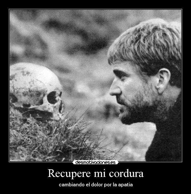 carteles cordura locura desmotivaciones