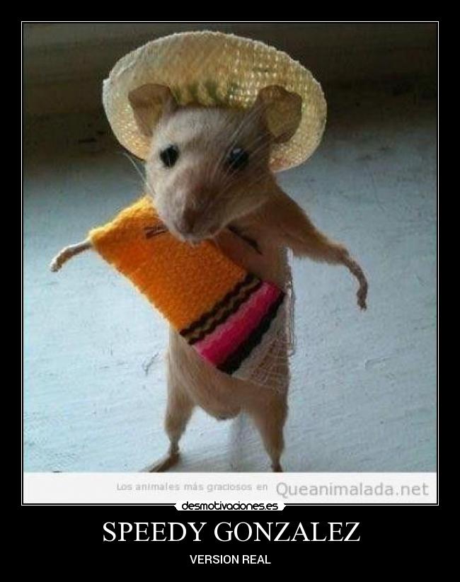 SPEEDY GONZALEZ - VERSION REAL
