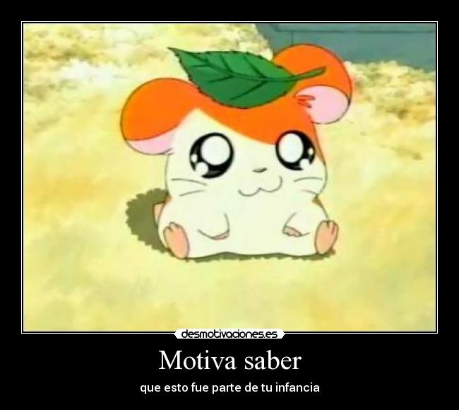 Motiva saber -