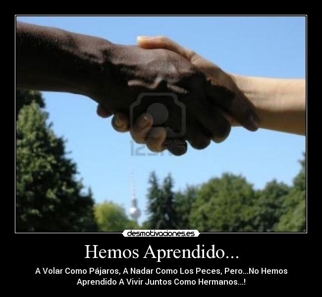 Hemos Aprendido... - 