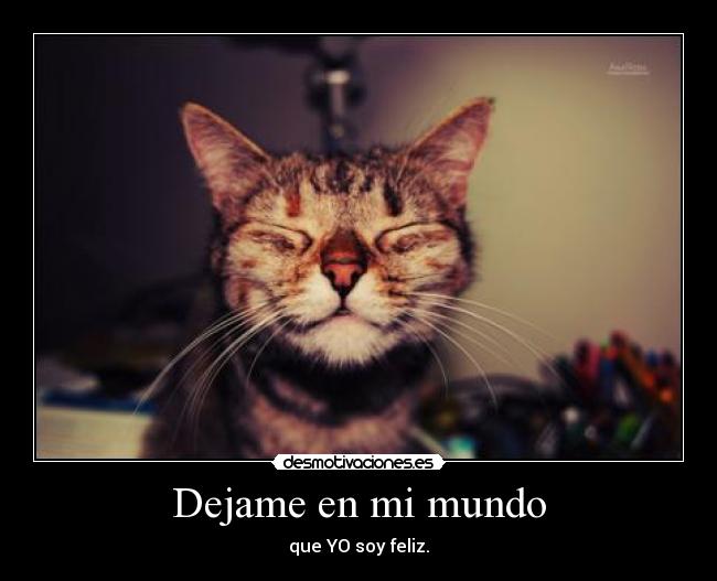 Dejame en mi mundo -