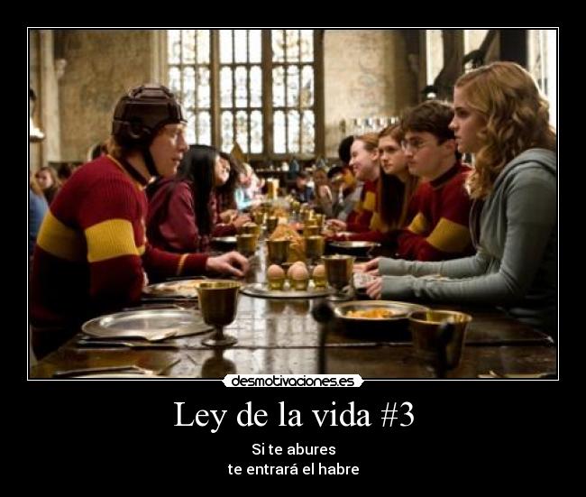 carteles vida ron harry ginny hermione grancomedor desmotivaciones