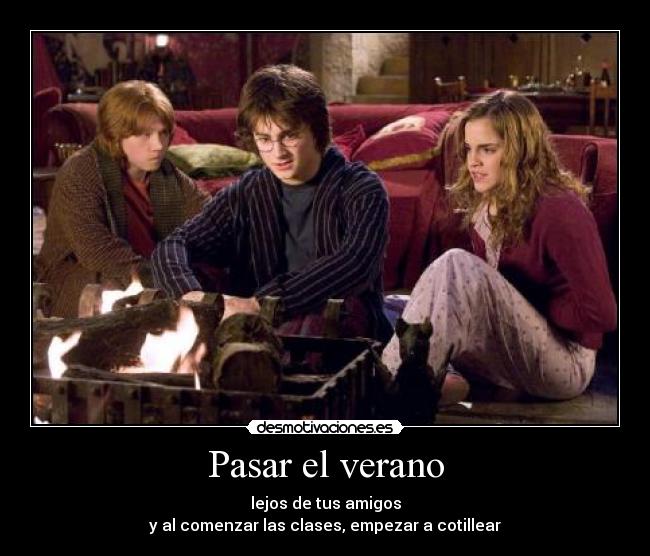 carteles verano ron harry hermione sala comun desmotivaciones