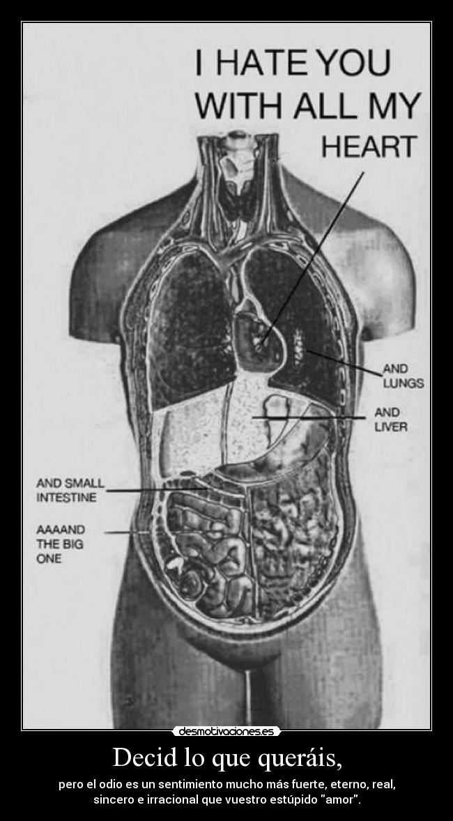 Decid lo que queráis, - pero el odio es un sentimiento mucho más fuerte, eterno, real,
sincero e irracional que vuestro estúpido amor.
