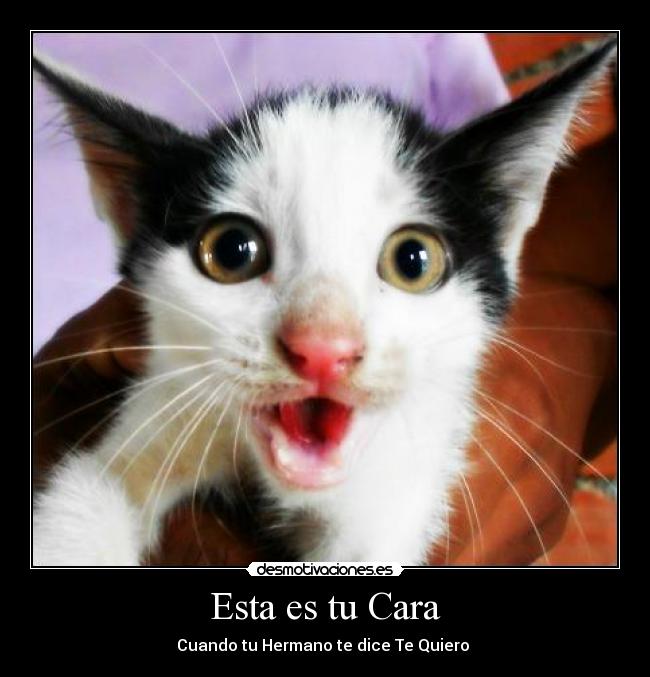 Esta es tu Cara - Cuando tu Hermano te dice Te Quiero ♥