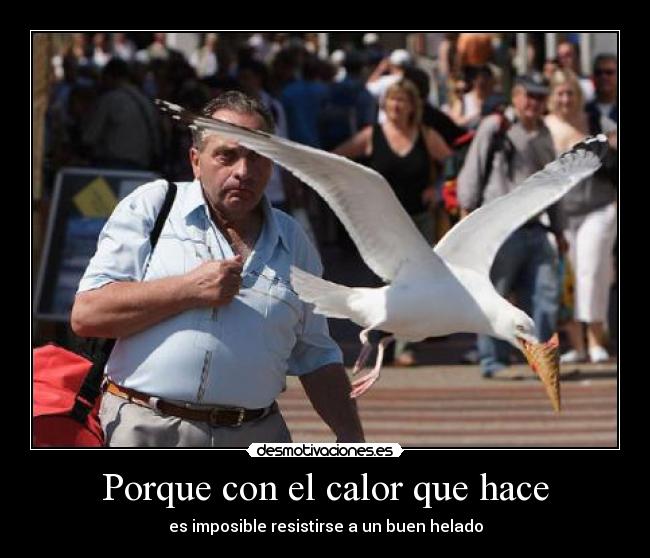 Porque con el calor que hace - es imposible resistirse a un buen helado