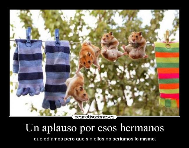 Un aplauso por esos hermanos - que odiamos pero que sin ellos no seríamos lo mismo.