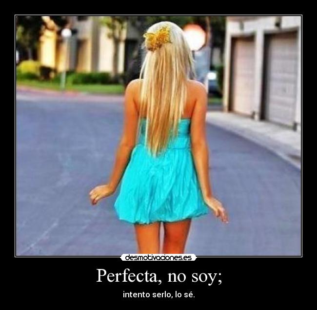 Perfecta, no soy; - intento serlo, lo sé.