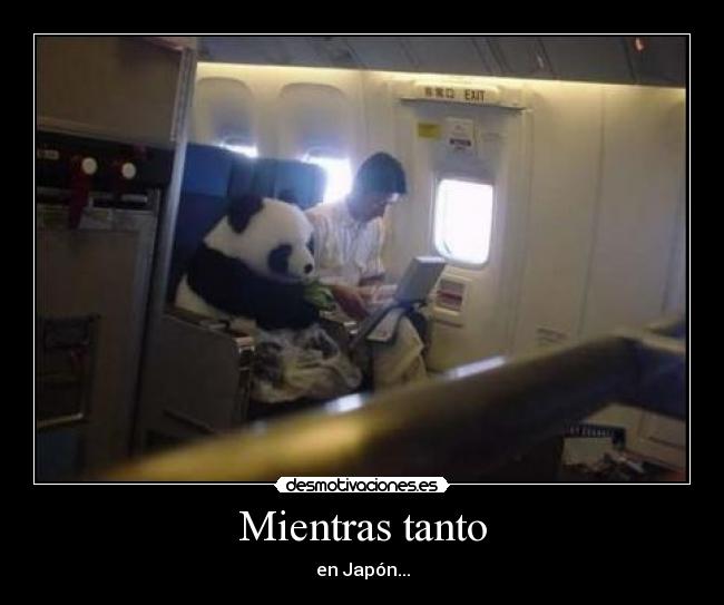 Mientras tanto - en Japón...