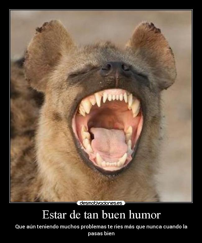 Estar de tan buen humor -
