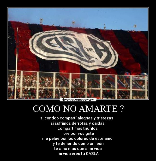 COMO NO AMARTE ? - si contigo compartí alegrías y tristezas
si sufrimos derrotas y caídas
compartimos triunfos
llore por vos,grite
me pelee por los colores de este amor
y te defiendo como un león
te amo mas que a mi vida
mi vida eres tu CASLA