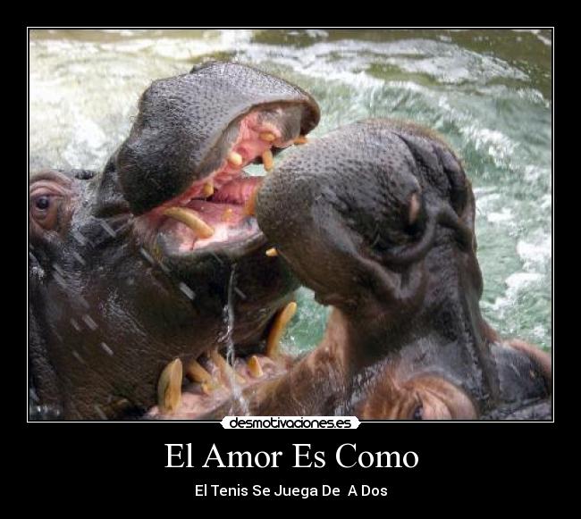 El Amor Es Como - El Tenis Se Juega De A Dos