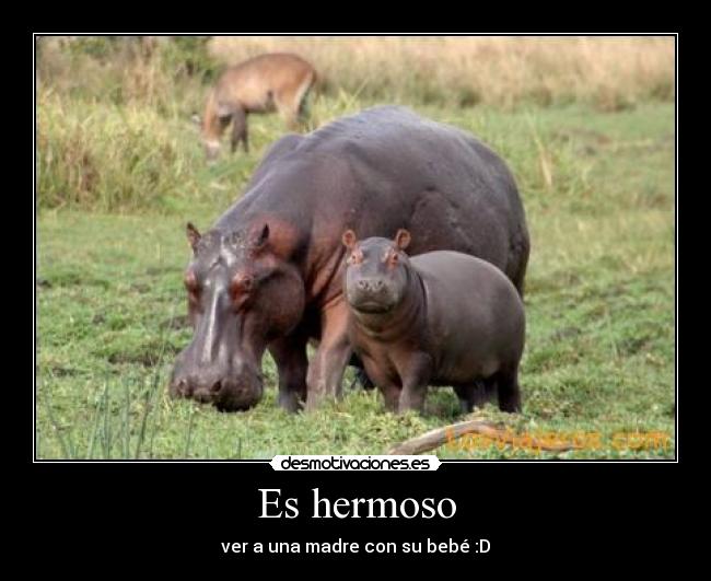 Es hermoso - ver a una madre con su bebé :D