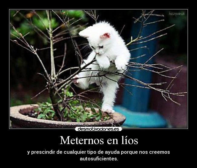 Meternos en líos - y prescindir de cualquier tipo de ayuda porque nos creemos autosuficientes.