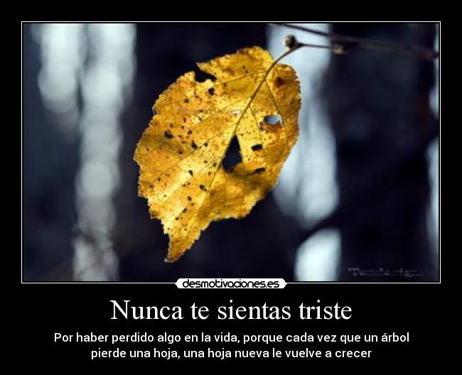 carteles arbol tree hojas desmotivaciones