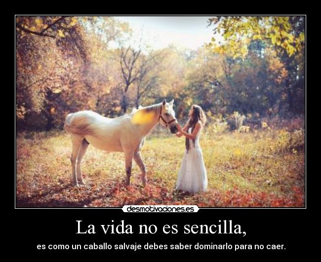 La vida no es sencilla, -