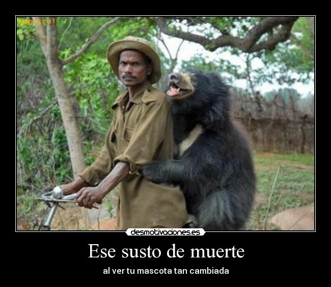 Ese susto de muerte -