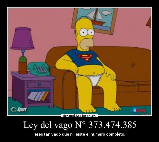 Ley del vago N° 373.474.385 - eres tan vago que ni leíste el numero completo.