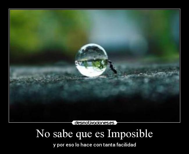 carteles imposible desmotivacion desmotivaciones