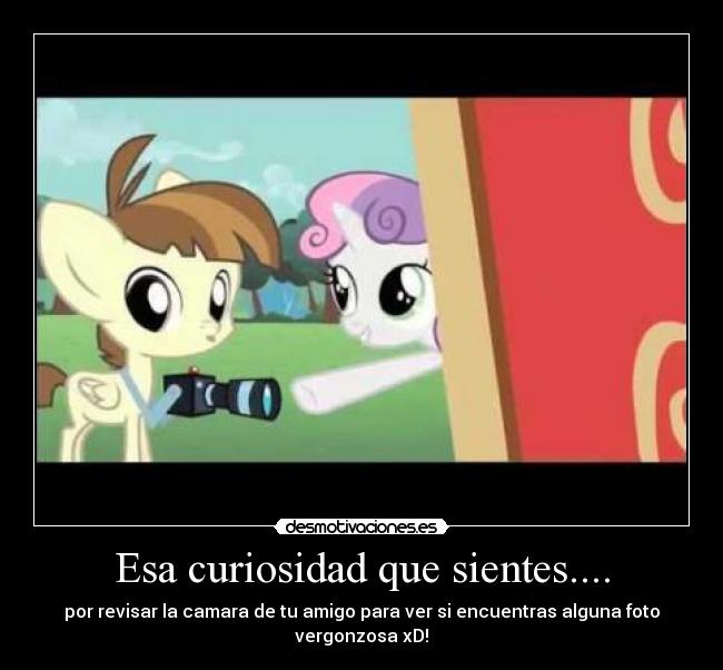 Esa curiosidad que sientes.... - por revisar la camara de tu amigo para ver si encuentras alguna foto vergonzosa xD!