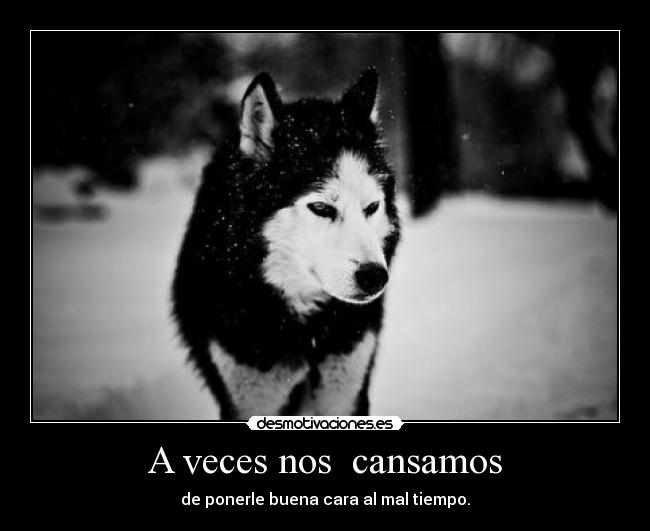 A veces nos  cansamos - 