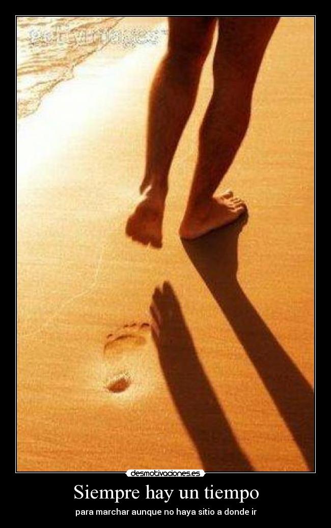 carteles tiempo para marchar clankiwi los lobitos molannn desmotivaciones