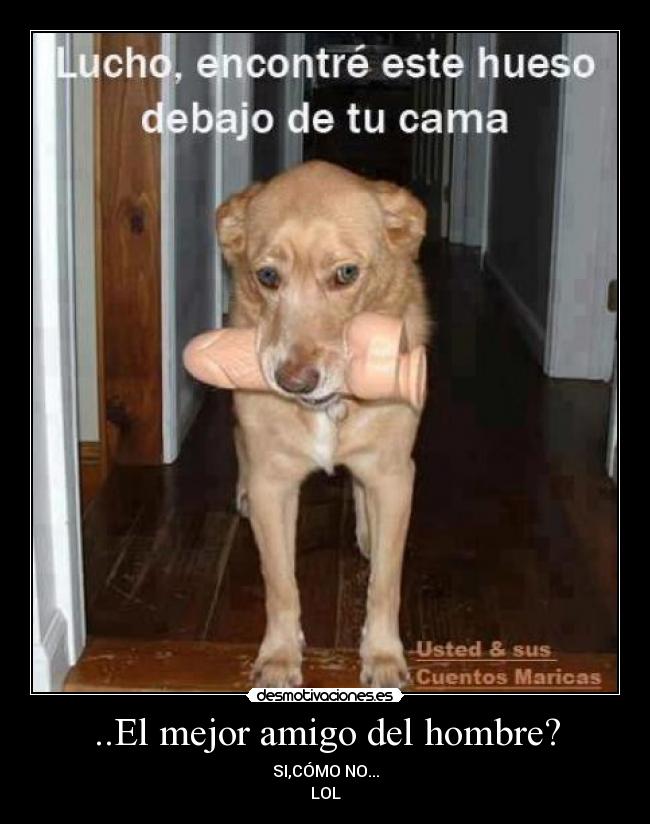 ..El mejor amigo del hombre? - SI,CÓMO NO...
LOL
