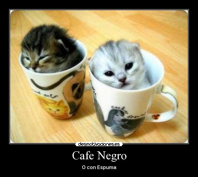 Cafe Negro - O con Espuma