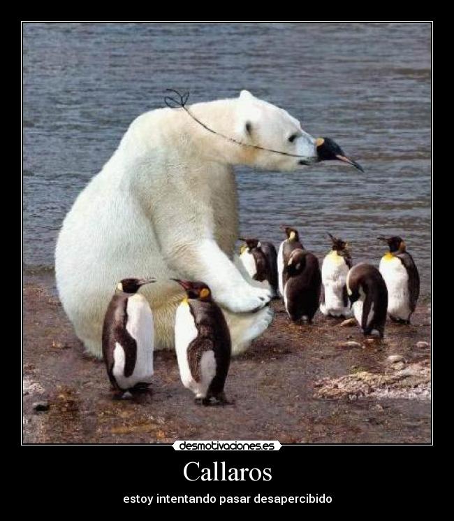 carteles suuuuuuuuu desmotivaciones