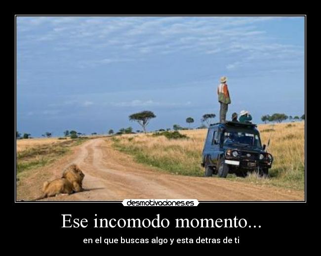 Ese incomodo momento... - en el que buscas algo y esta detras de ti